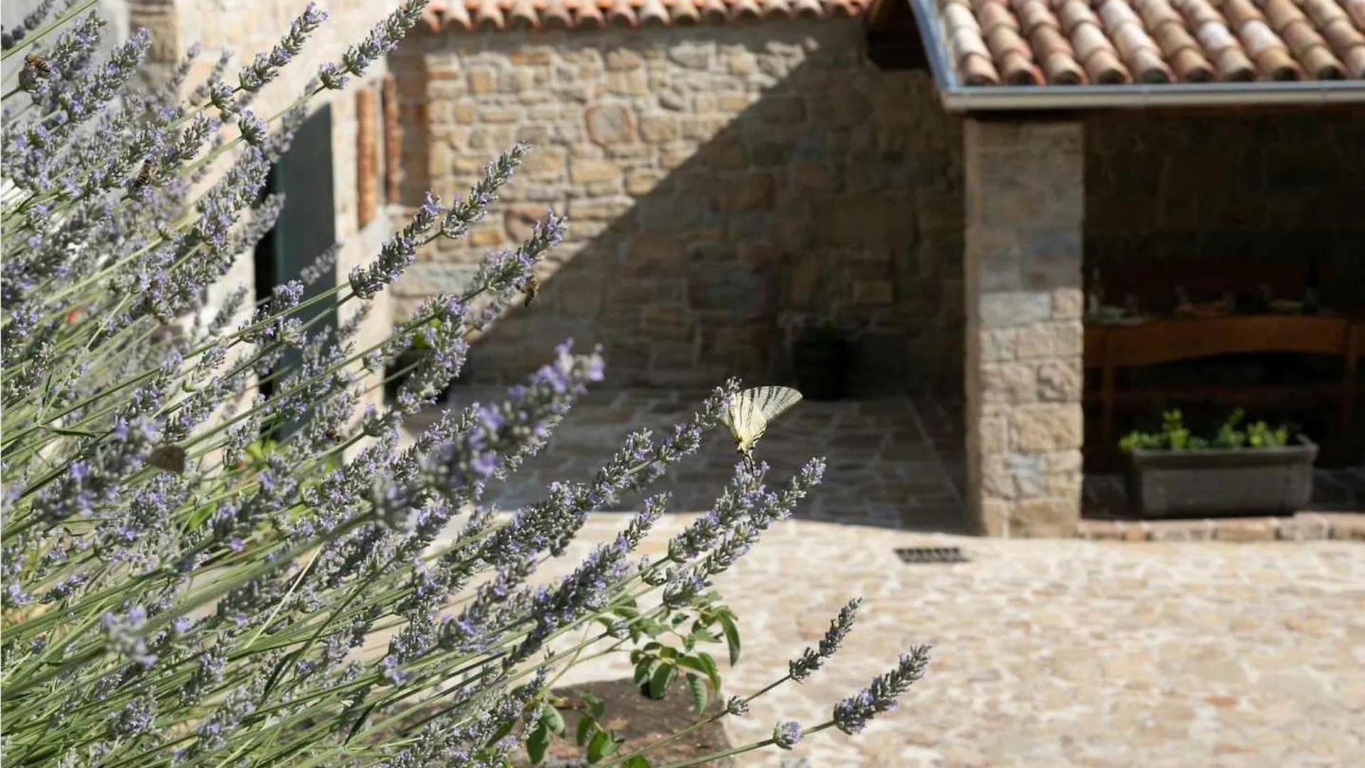 Apartment Ninna Buzet